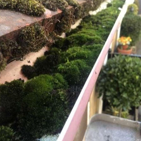 Gutters Before