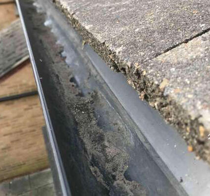 Alisha Property Services Ltd